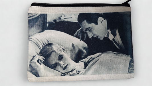 Makeup bag, Stash bag, Zippered bag, Horror themed bag, Halloween themed bag